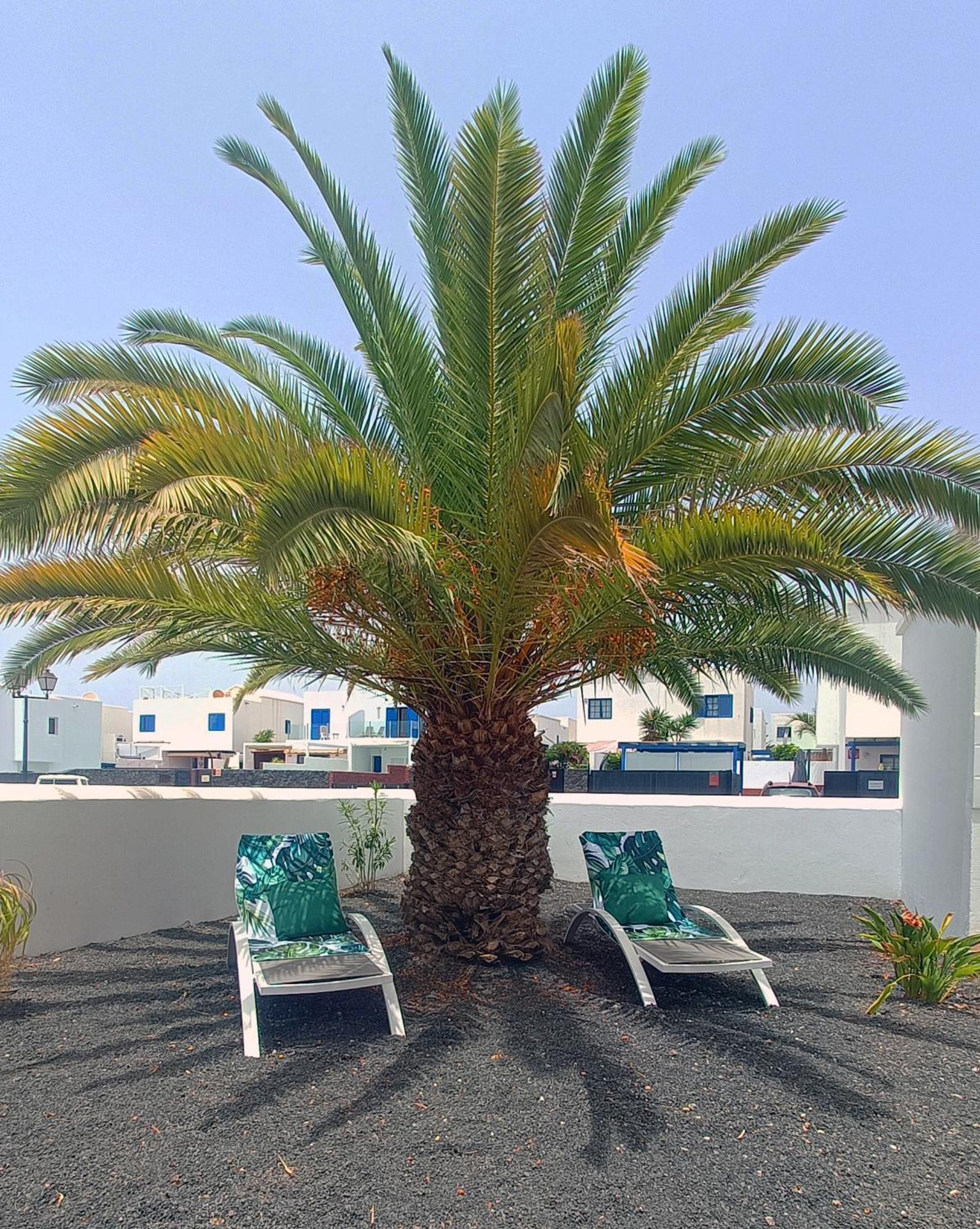 Lovely Casa Felicidad, Swimming Pool, Wifi X Private Garden Коста Бланка Экстерьер фото